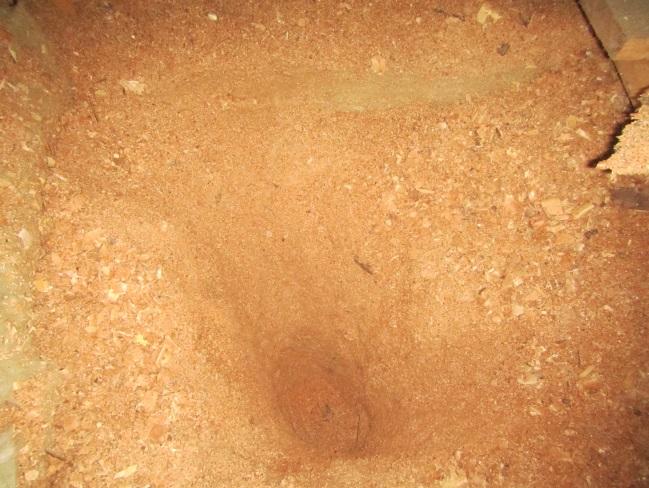 Materiaalinäyte rakennuksen keskilinjan kohdalta