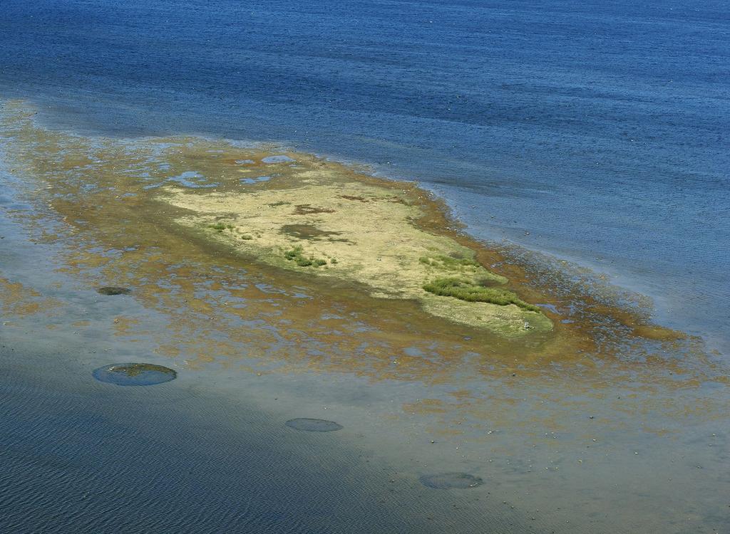 Metsähallituksen hallinnassa oleva kokonaismaa-ala on suunnittelualueella 923 500 hehtaaria.