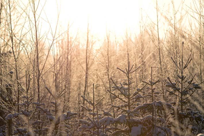 Tammikuussa esiintyi runsaita sateita ja lämpötilan vaihteluita Tammikuussa maan etelä- ja keskiosassa oli monin paikoin tavanomaista leudompaa lämpötilapoikkeaman ollessa pääasiassa kahdesta kolmeen