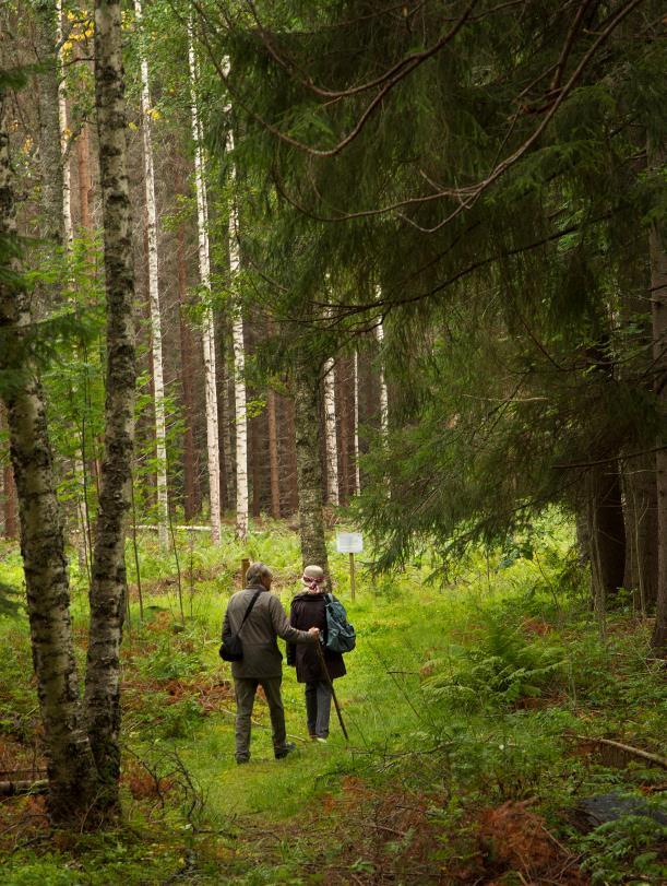 TOIMINTA Yhteydenotto > keskusteu > tavoitteet > seuranta Ohjaaminen yksiöisesti Liikuntaajeina mm.