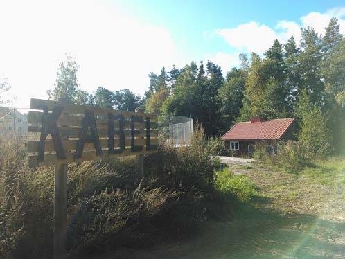vasemmalla.