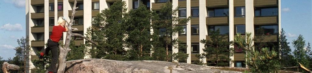 SOUKAN TÄYDENNYSRAKENTAMISEN VISIO