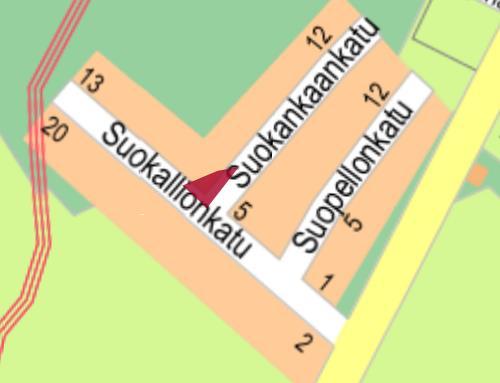 Poistetaan 4 kpl suurikokoista koivua, harvennetaan nuorta koivikkoa, vähennetään raitoja,
