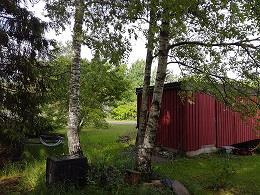Puustoinen puistoalue, jossa runsaasti