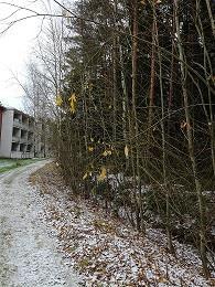 Antaa epäsiistin kuvan vieressä olevien
