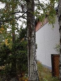 tiedottamisesta Asiakaspalautteet: - Rivitalojen