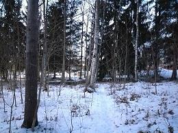 Luonnonsuojelukali: Harittu, Topaasikenttä VL Ei erityispiirteitä Ei erityispiirteitä Kiinteistöliikelaitos vastaa tarvittavista luvista Urakoitsija