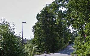 Ovat pyytäneet myös kohteen muiden tammien oksien karsimista, ulottuvat katolle.