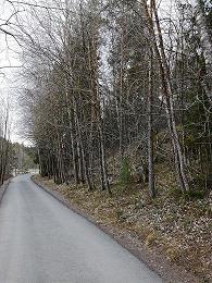 monimuotoisuuden kannalta erityisen tärkeä elinympäristö.