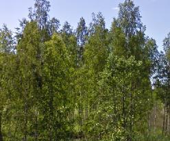Kohteessa sijaitsee levähdyspaikka.