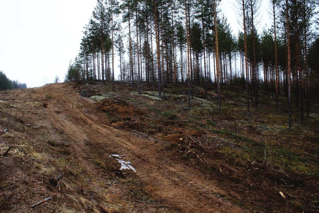 Luumäki, Taavetti