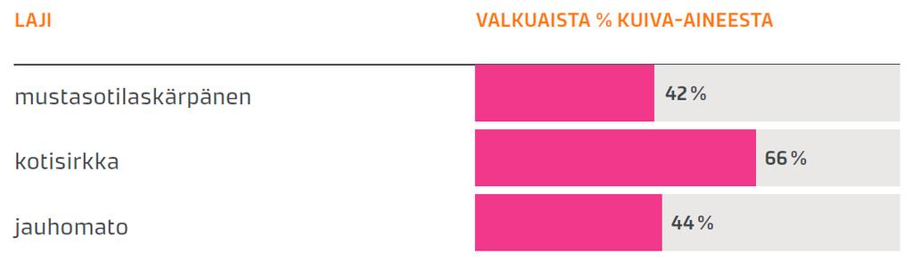 Hyönteiset: