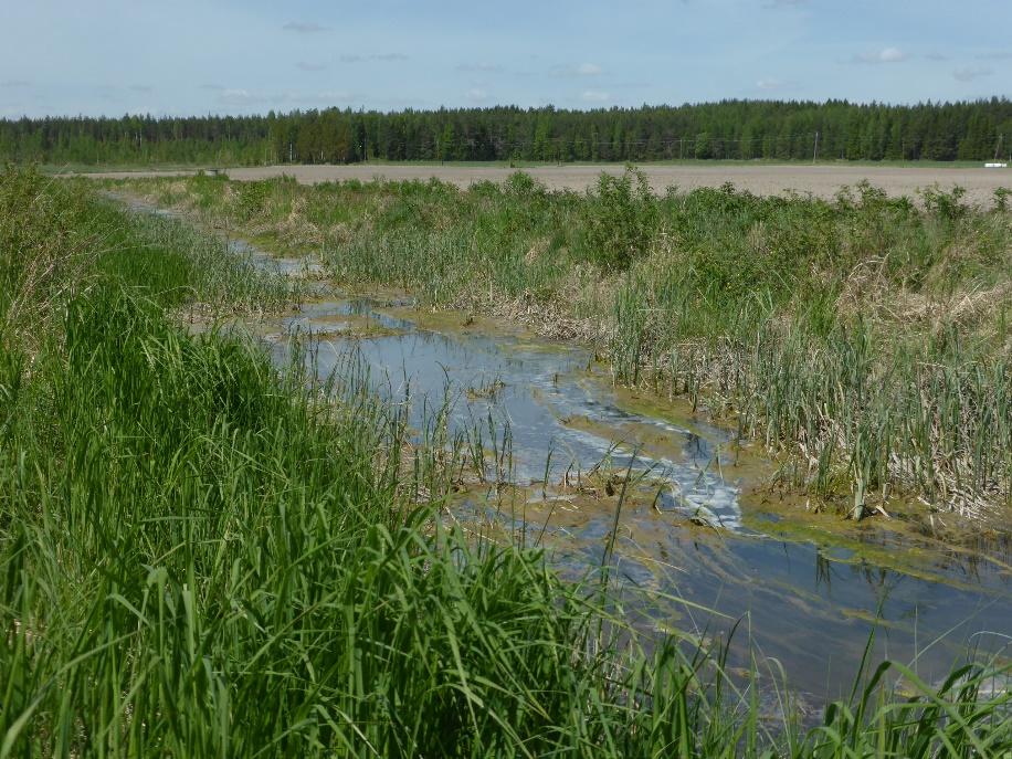 kuivatustarve -> perkaukset Kastelutarve