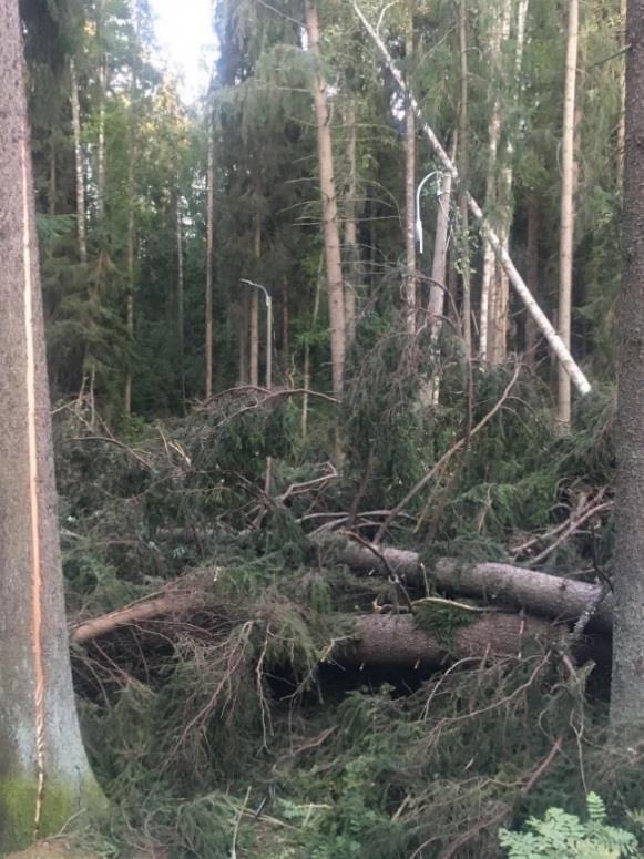 päällekkäismerkintää. Alueen virkistystoimintaa voidaan kehittää täyttötoiminnan loputtua.