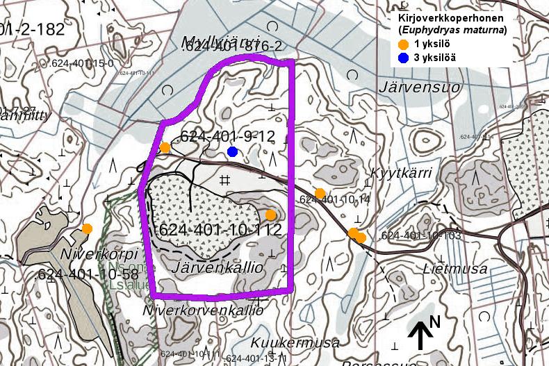 Kartta 7-1. Kartassa on esitetty kartoituksen yhteydessä kesällä 2017 alueella havaitut kirjoverkkoperhoset.
