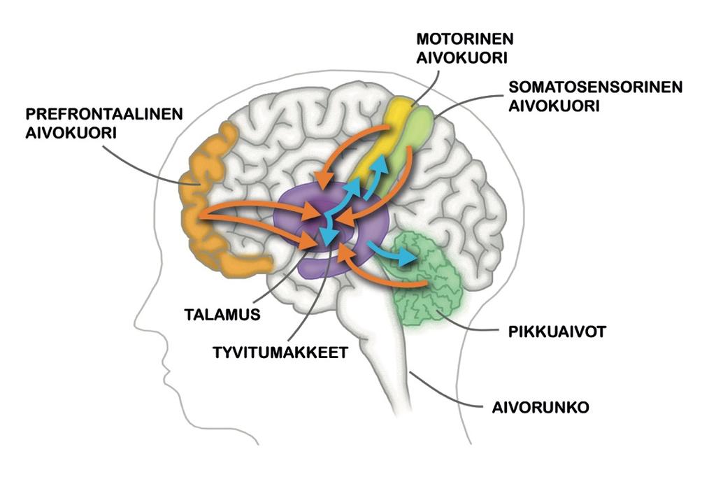 ylemmät osat saavat yliotteen > ticoireet Keskeisin