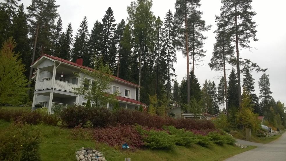 Lähimetsissä kuullaan asukkaita Eivät usein suuria alueita, mutta sijaintinsa vuoksi tärkeitä Asutuksen välittömässä läheisyydessä Hoidetaan vuorovaikutuksessa asukkaiden kanssa Hoidossa painotetaan