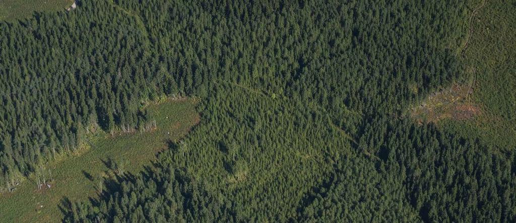 Talousmetsät pidetään hyvässä kasvukunnossa ja tuottavina Kauempana asutuksesta Hoidetaan Metsänhoidon suositusten ja FSC-sertifikaatin