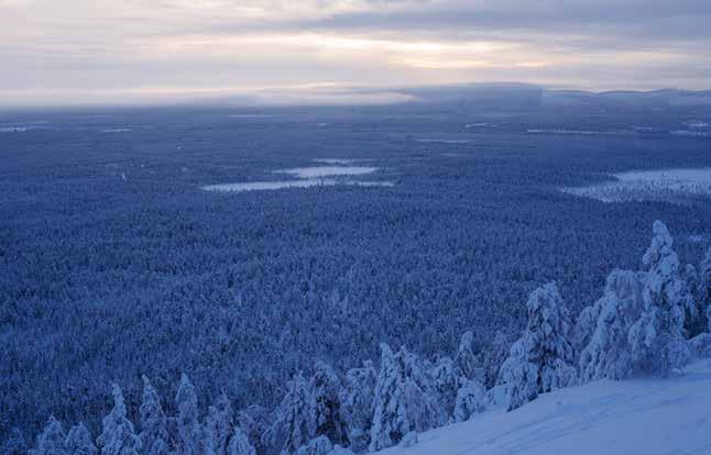 ALKUSANAT / FOREWORDS Me Haltilla uskomme että parhaissa ulkoiluvaatteissa, jalkineissa ja välineissä yhdistyvät tyyli, käytettävyys ja toiminnallisuus.