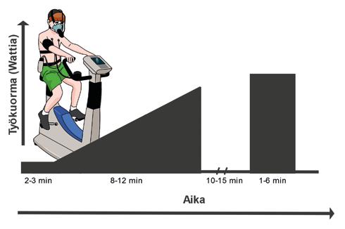 LAPSI, KASVU, KEHITYS JA LIIKUNTA KUVA 1. Supramaksimaalisen VO 2max -tuloksen varmistustestin sisältävän nousujohteisen polkupyöräergometritestiprotokollan eteneminen.