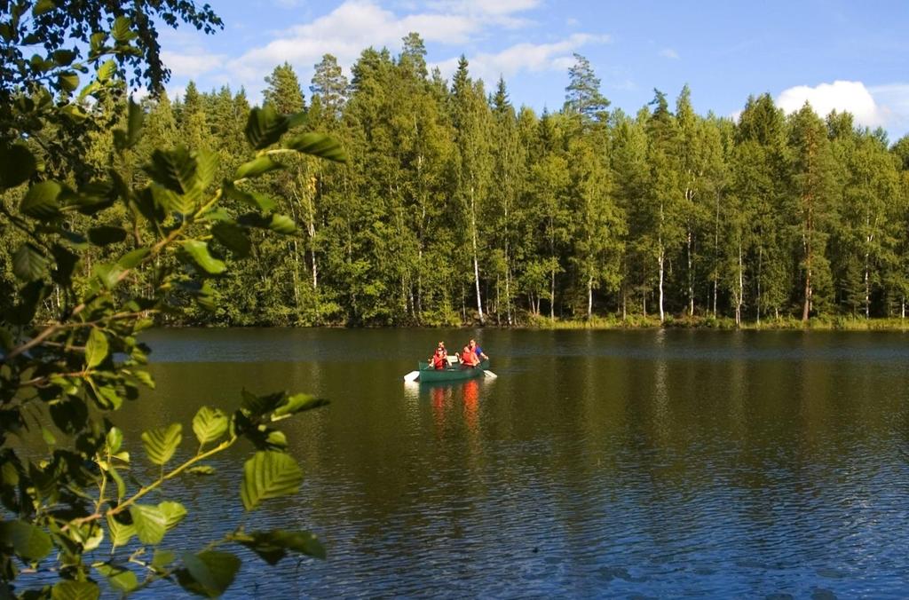 OSALLISUUDEN JOHTAMINEN Marianna Kokko