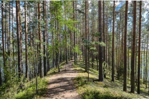 3. MITÄ