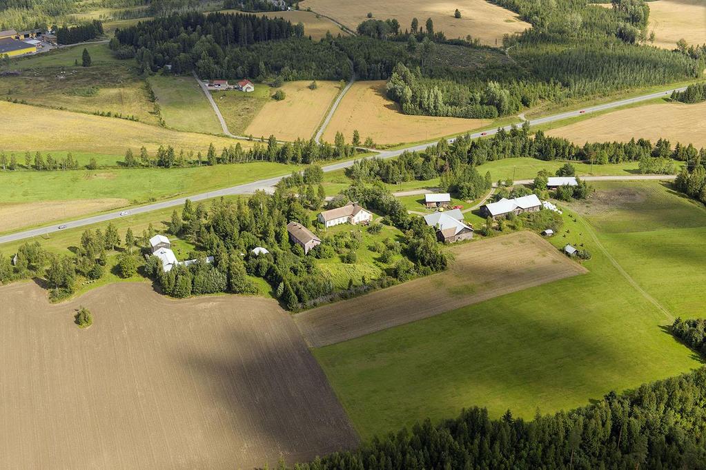 valtatien läheisyydessä, on kumpuilevaa peltoa, jolla sijaitsee metsäsaarekkeita.