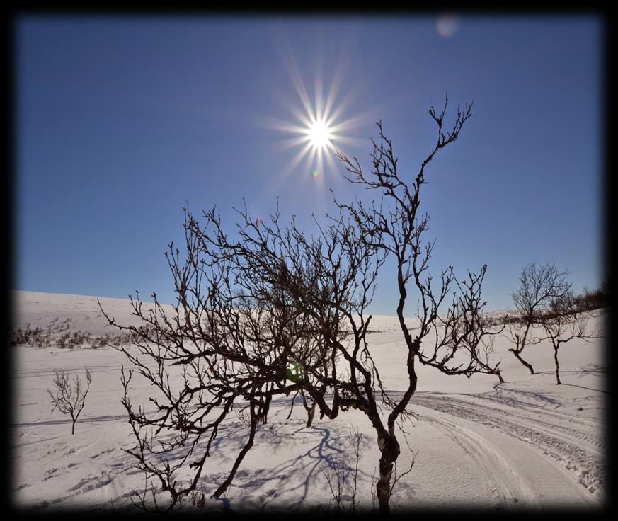 Kiitos mielenkiinnostanne! Kiitos aktiivisesta osallistumisestanne verkostokokouksiin! Aurinkoa ja hyvää henkeä! Veera.farin@hengitysliitto.