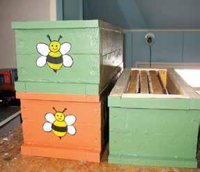 Maaliskuussa pitää seurata sääennustetta tuleville päiville: Joko huomenna saa lähteä talsimaan lumikengillä mehiläistarhoille ja kaivamaan pesiä hangesta esiin mehiläisten puhdistuslentoa varten?