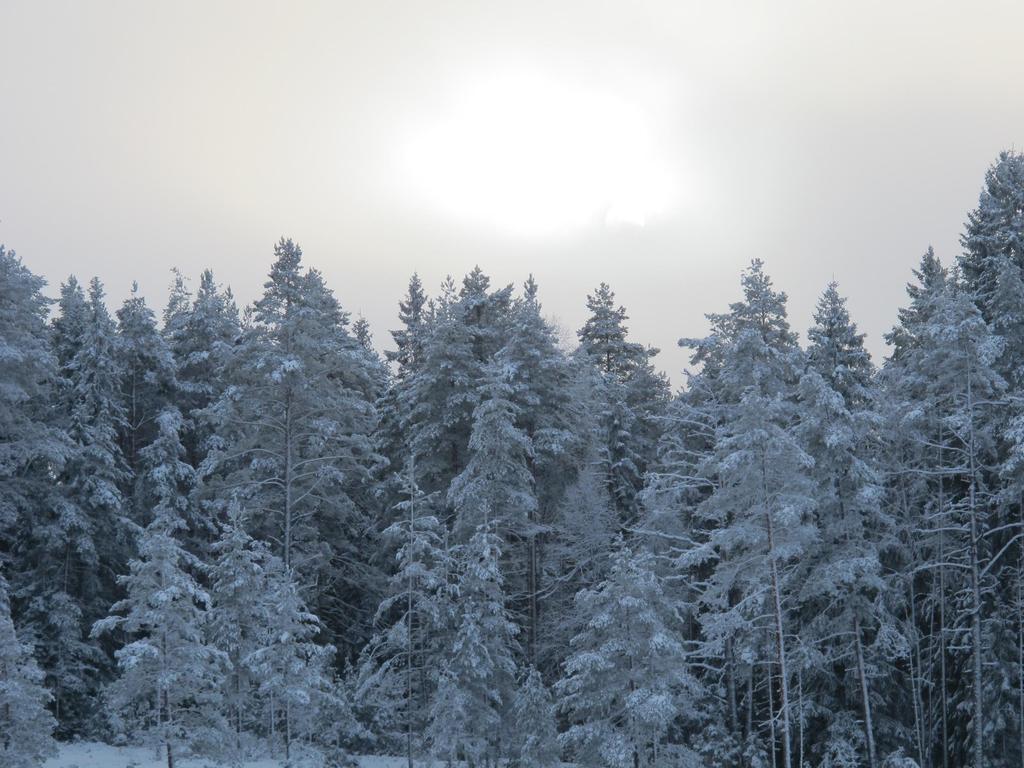 MAAKUNTAVALTUUSTO Maakuntavaltuusto vastaa maakunnan toiminnasta ja taloudesta sekä käyttää maakunnan ylintä päätösvaltaa. Toimikausi on neljä vuotta. Maakuntavaltuusto päättää mm.