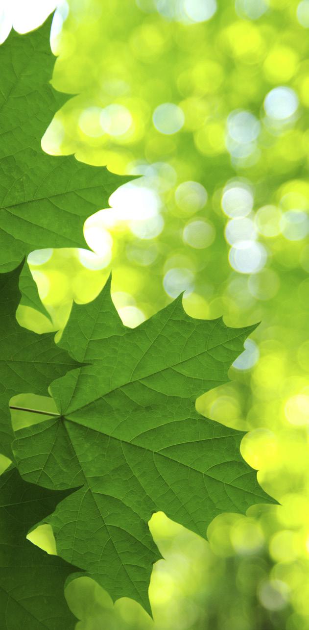 VIKAA ASUNNOSSA TAI KIINTEISTÖSSÄ JOS VAHINKO SATTUU Kun arvelet, että jokin laite tai kiinteistön järjestelmä ei toimi oikein, niin älä epäröi tehdä asiasta palvelupyyntöä oman talosi huoltoyhtiölle.