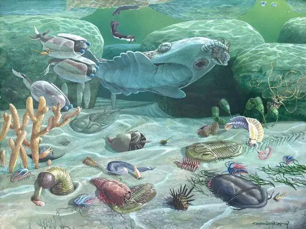 5. Elämää kambrikaudella (R5) Kambrikausi on geologinen ajanjakso 542-490 miljoonaa vuotta sitten ja alkoi jääkauden jälkeen. Elämä keskittyi suurimmaksi osaksi meriin.