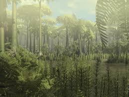 6. Kivihiilikauden metsät (R1) Kivihiilikausi oli geologinen kausi devonikauden ja permikauden välissä n. 299 miljoonaa vuotta sitten.