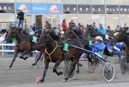 1,a 1 C C 00 pun vaal sin -pun valk F 1. - hpl 1 C C 00 HARRI KOIVUNEN (aa) Tk 01.1 1 1,x C C 00 Juha-Pekka Saarinen (C) F Tk.