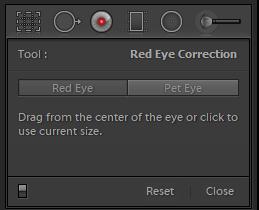Red eye correction -työkalu Valitaan joko Red Eye (punainen silmä) tai Pet Eye (lemmikin silmä) Viedään työkalu