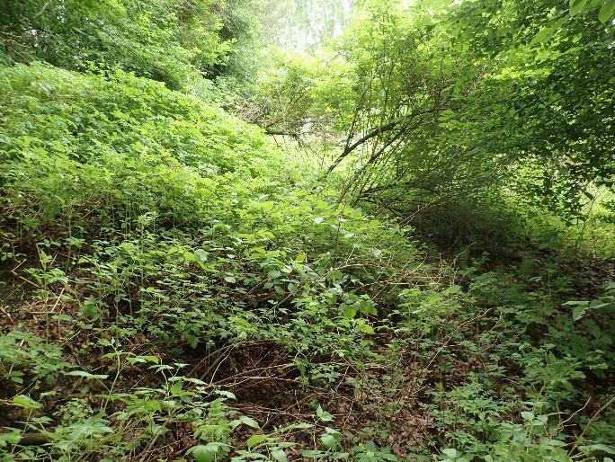 Kaivannot ovat aivan ilmeisesti koneella tehtyjä. Kyseessä voi olla esimerkiksi maanottopaikka. Kokonaisuudessaan tämän myllätyn maanottopaikan koko on noin 45 x 30 m.