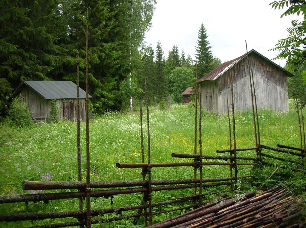 Kokemäen Siikelin niityn hoidotta rehevöityvää perinnemaisemamiljöötä riukuaitoineen.