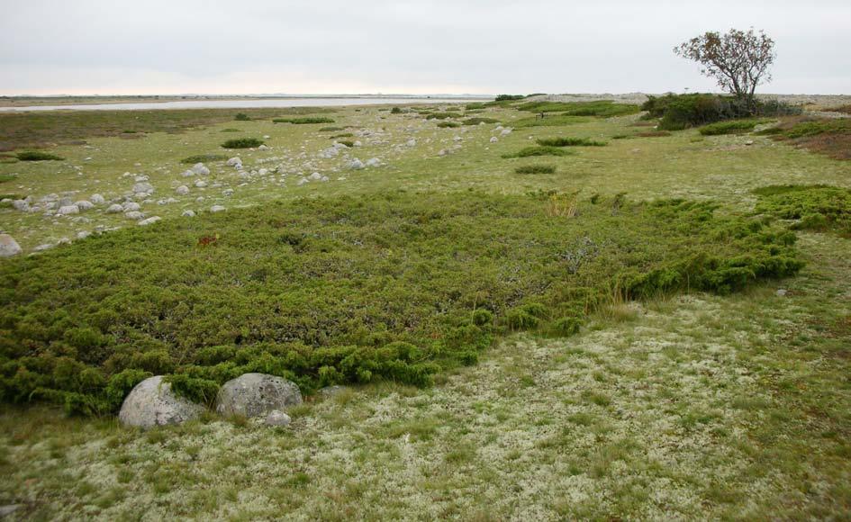 Saaristomeren kansallispuistoon kuuluvan Korppoon Jurmon avaraa maisemaa.