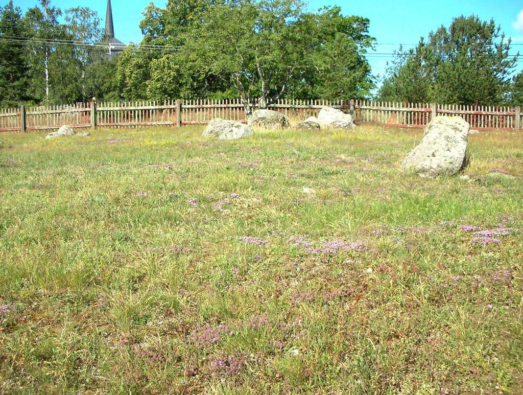 Uusia kohteita löytyy edelleen maastokäyntien yhteydessä. Vuonna 2008 inventoitu lampailla laidunnettu pienruohoketo Dragsfjärdin Hiittisissä.