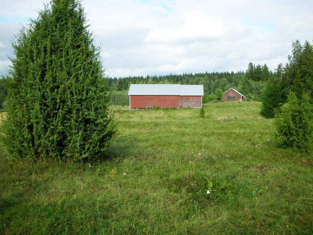 Uudenmaan Vainiolan niittyä on niitetty mm. talkoilla ja työllistämishankkeen työntekijöiden voimin.