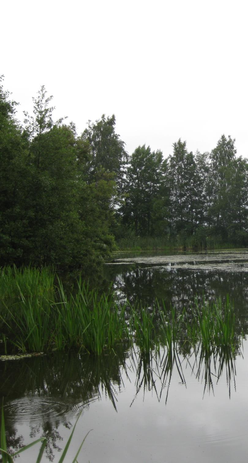 Työpaketti 4. Vesikasvit Tavoite: Lisää tietoa vesikasviniittojen vaikuttavuudesta ja niittomateriaalien hyödynnettävyydestä.