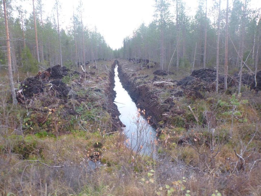 kaivoshanke! Ilmaston muutos sadanta kasvaa hyvä / huono?