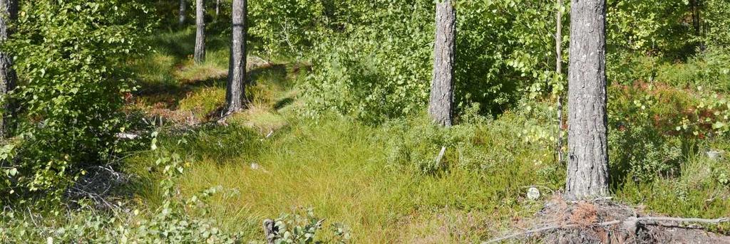 vyöhykkeeltä Laituritieltä