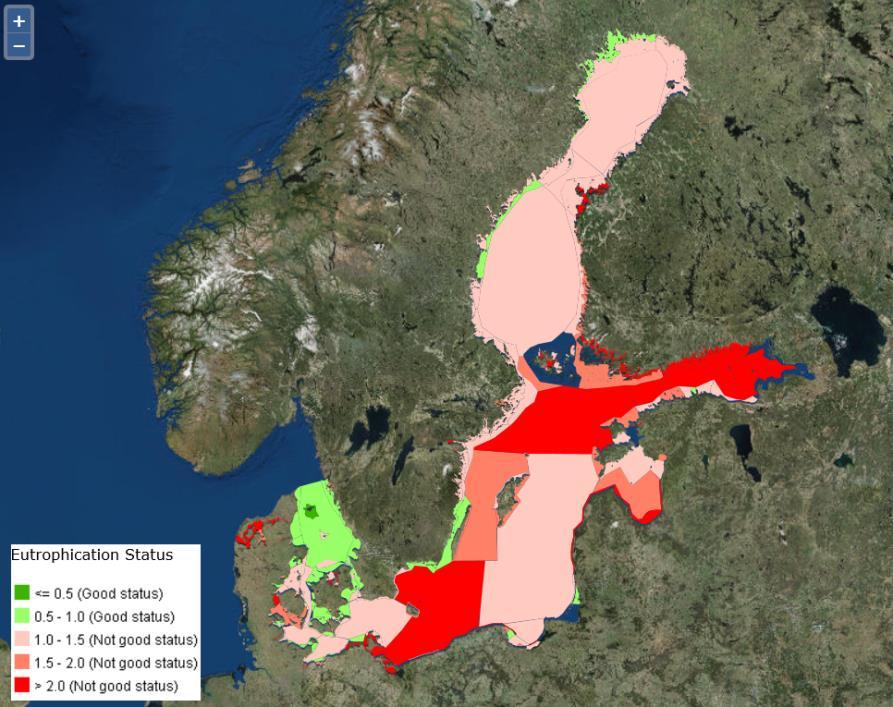 Se sisältyy vesipuitedirektiivin rehevyyttä kuvaaviin kasviplanktonmuuttujiin ja meristrategiadirektiivin kuvaajan 5 (rehevöityminen) kasviplanktonindikaattoreihin.