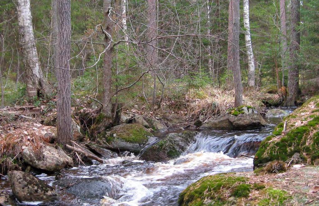 Kuva 11 5 Metsälänjoki. Hankealueen arvokkaimmat luontokohteet ovat varttuneita järeitä kuusikoita sekä luonnontilaisena säilyneitä suoalueita.