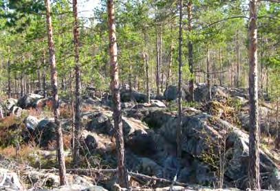 Voimala 41 Voimalanpaikka numero 41 sijoittuu matalapiirteiselle kallioalueelle, jonka etelä- ja länsisivut rajautuvat metsänuudistusalaan.