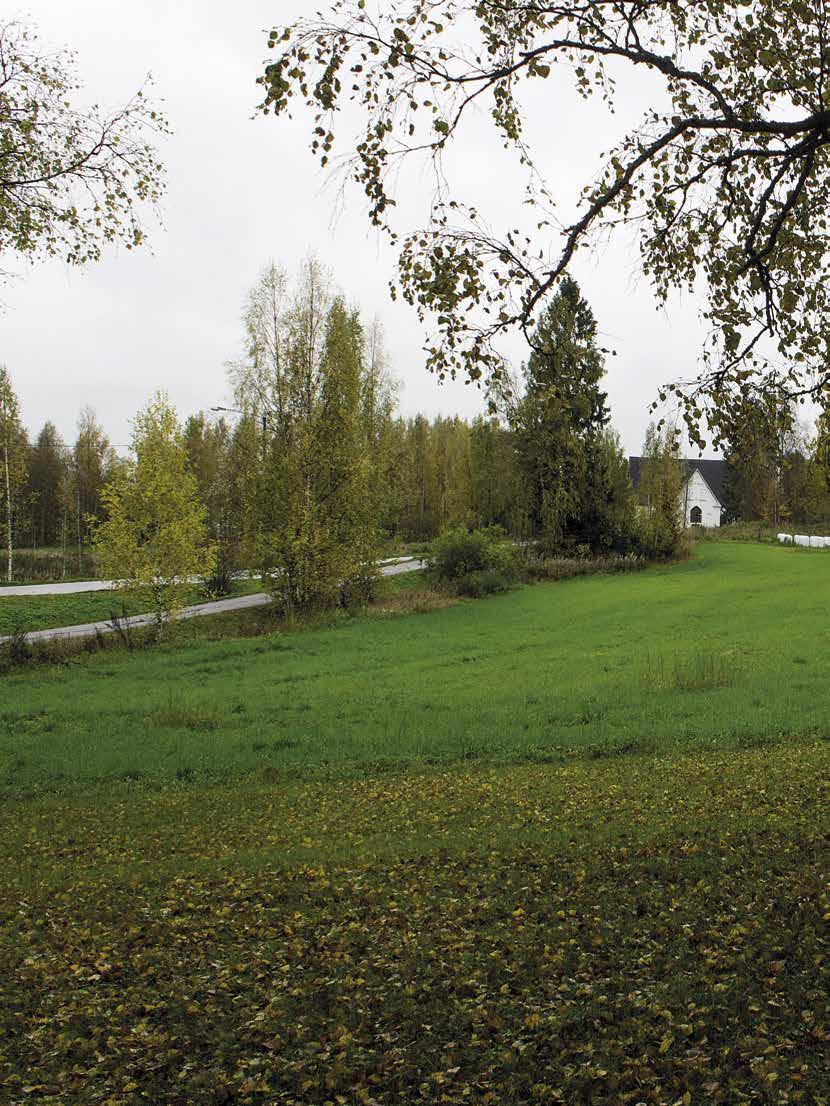 Aarre pellossa Sysmäläisestä pellosta paljastunut rahalöytö tuo uutta tietoa muinaisten suomalaisten