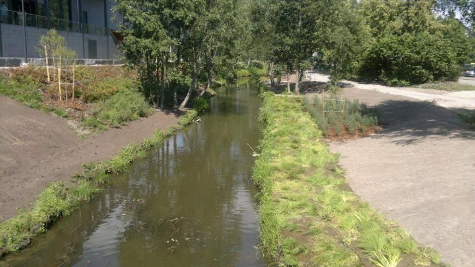 Espoo : Vesikasvimatot jokilinjan alareunoissa, Greenfix 10 pensaseroosiomatto
