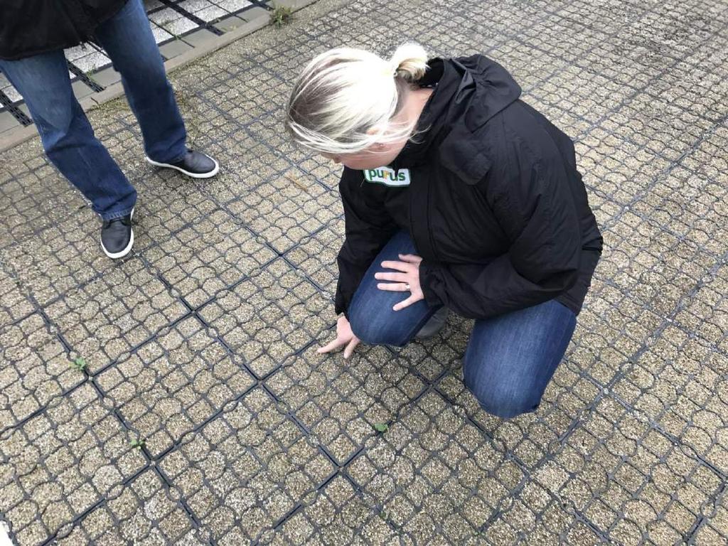 Ecoraster maakennot