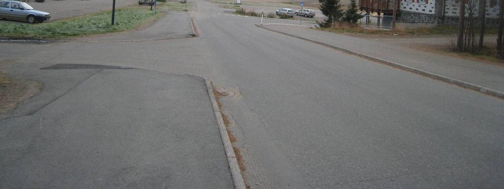 Pohjoisboreaaliselle vyöhykkeelle Perä-Pohjolaan.